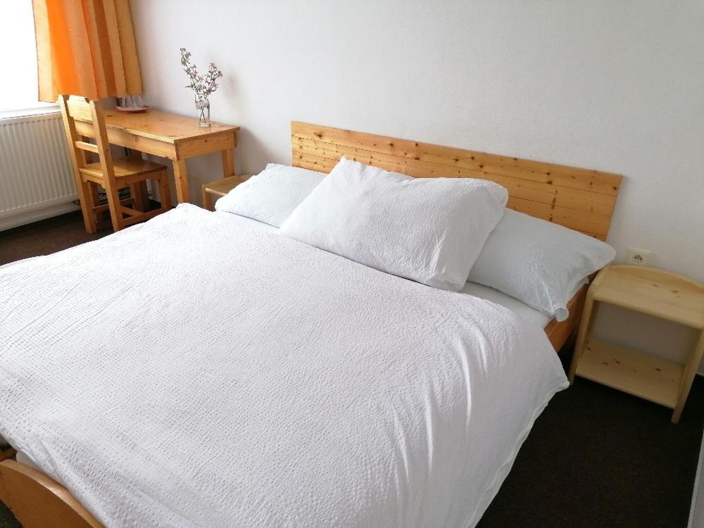 Otevrena Naruc Pension Letovice Екстер'єр фото